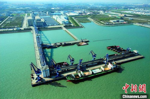 上海邊檢開辟查驗綠色通道，助力入境糧油民生物資高效中轉倉儲